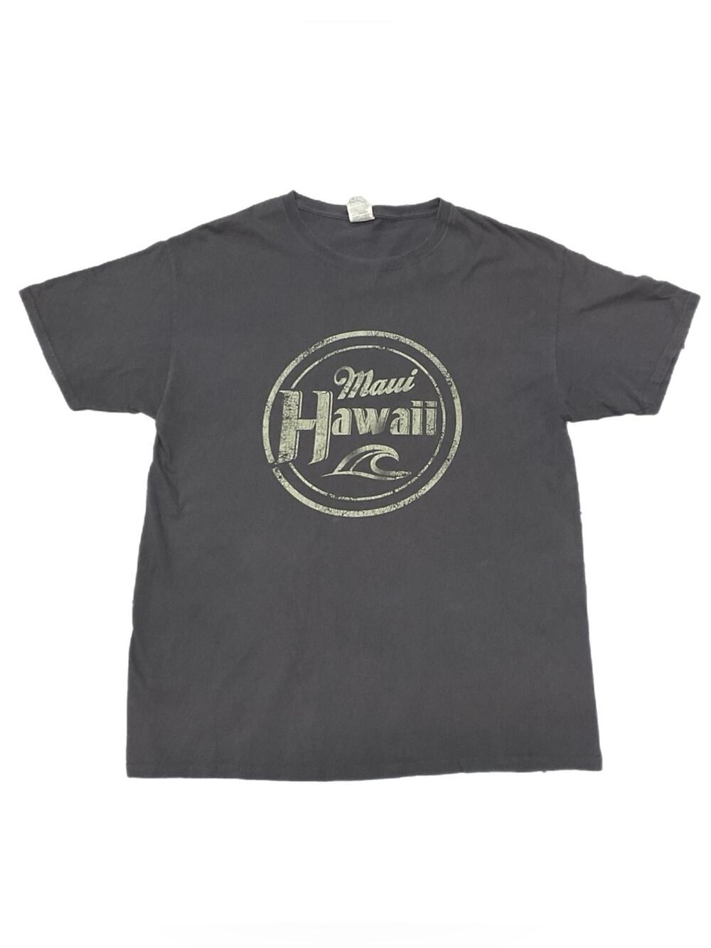 Y2K Maui Hawaii Graphic Fruit of the Loom Surf T-shirt